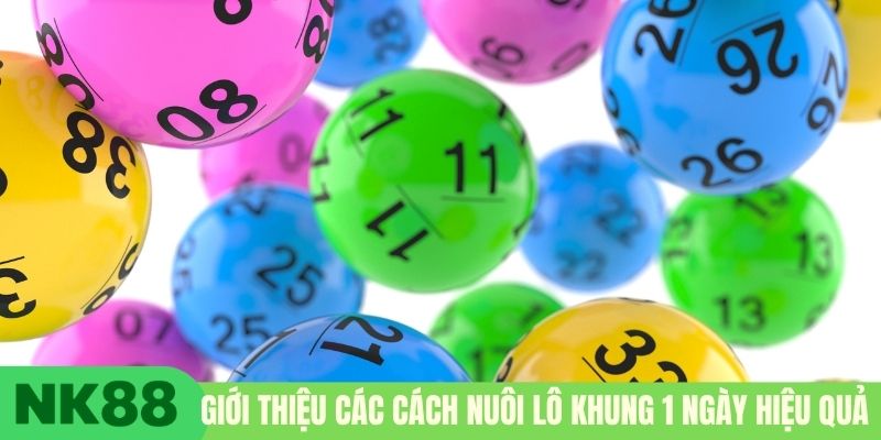 Giới thiệu các cách nuôi lô khung 1 ngày hiệu quả
