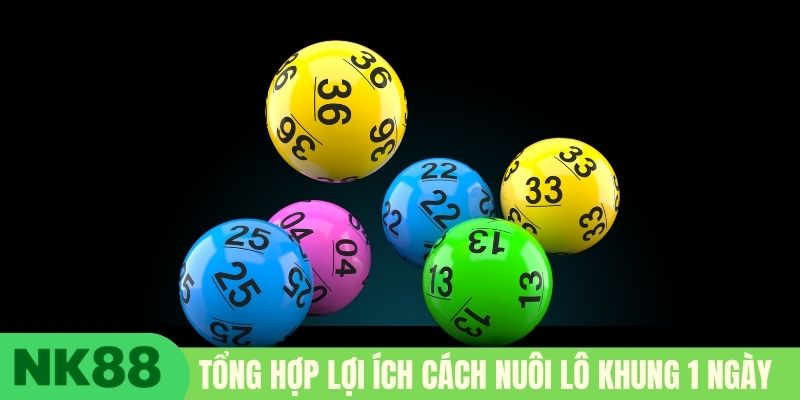 Tổng hợp lợi ích cách nuôi lô khung 1 ngày